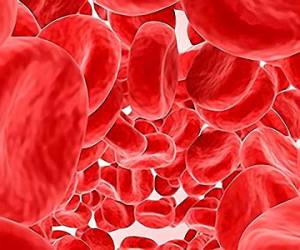 Top Ten Blood Tests